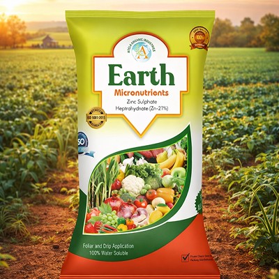 EARTH ZINK